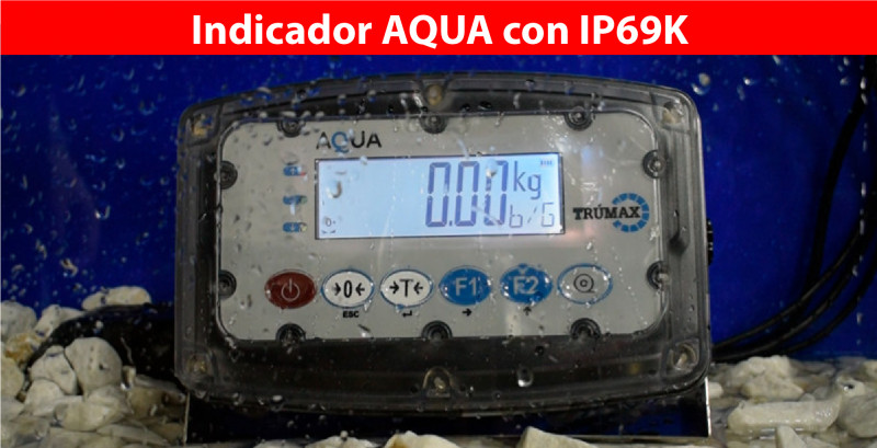 asdasdsad