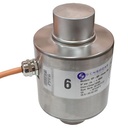 SP-DP 35t C4 celda digital 485 canister Inox IP69