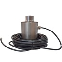 SP-AI 30t C4 celda analoga canister Inox IP69